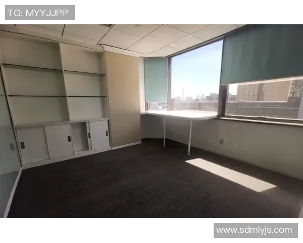 北京乒乓球队包夹战术的优势与不足分析及其对比赛的影响探讨