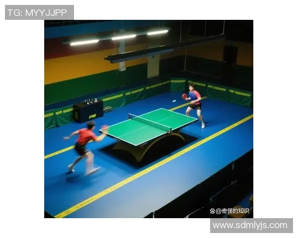 乒乓球深度解析西安乒乓球队如何实现整体压制与战术优势 乒乓球深度解析西安乒乓球队如何实现整体压制与战术优势