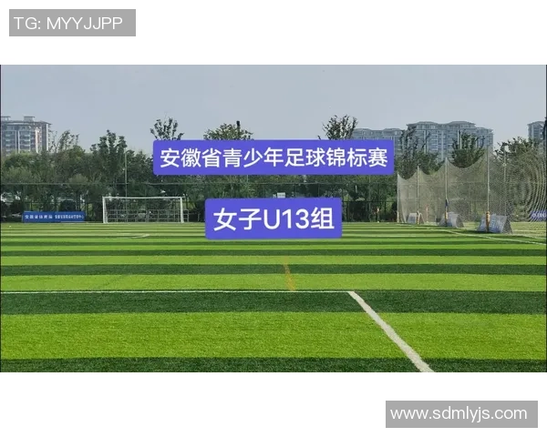 宣城足球明星盘点及其在国内外赛场的表现与成就分析