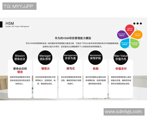 南京羽毛球队阵地战革新探索与实践的深度剖析与未来展望
