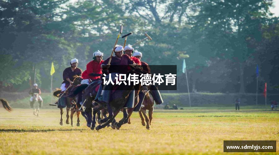 认识伟德体育